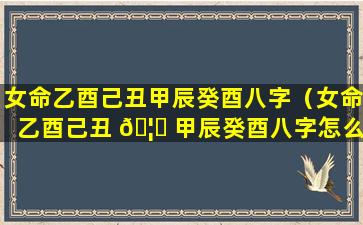 女命乙酉己丑甲辰癸酉八字（女命乙酉己丑 🦁 甲辰癸酉八字怎么样）